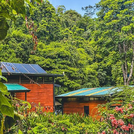 Selva Madre Eco-Sanctuary Aparthotel Cahuita Exterior photo