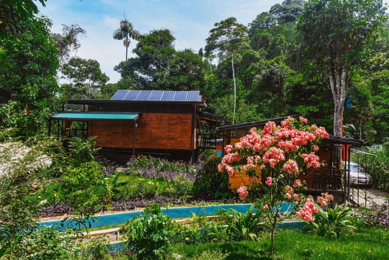 Selva Madre Eco-Sanctuary Aparthotel Cahuita Exterior photo