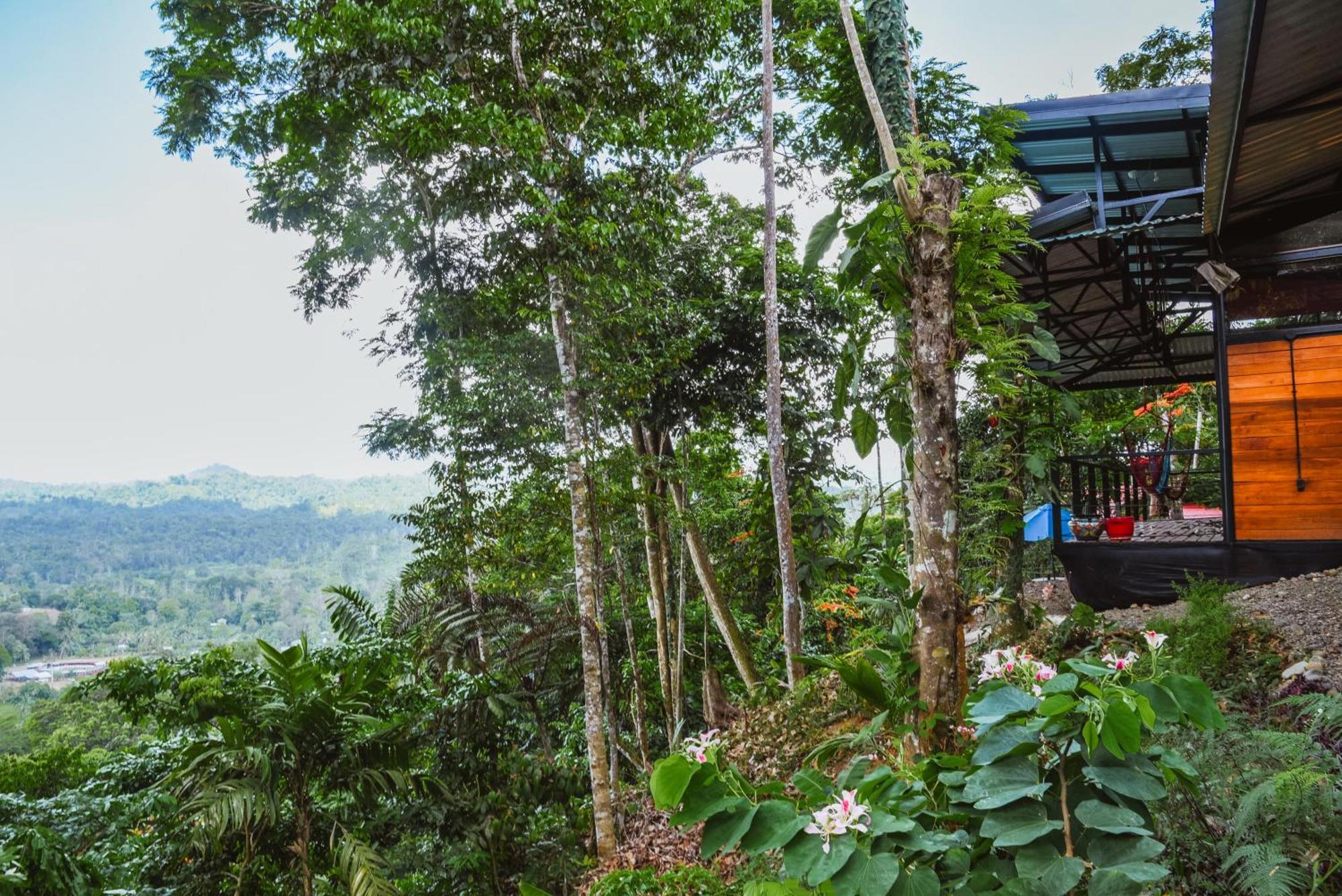 Selva Madre Eco-Sanctuary Aparthotel Cahuita Exterior photo