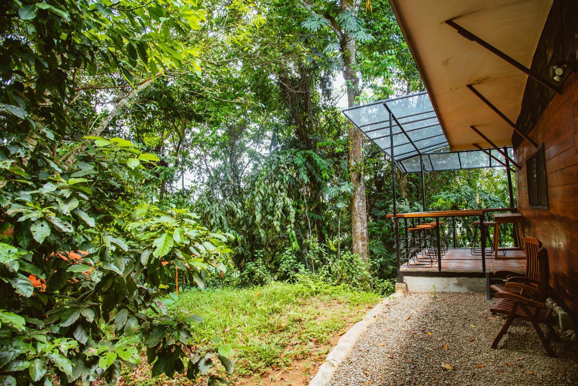 Selva Madre Eco-Sanctuary Aparthotel Cahuita Exterior photo