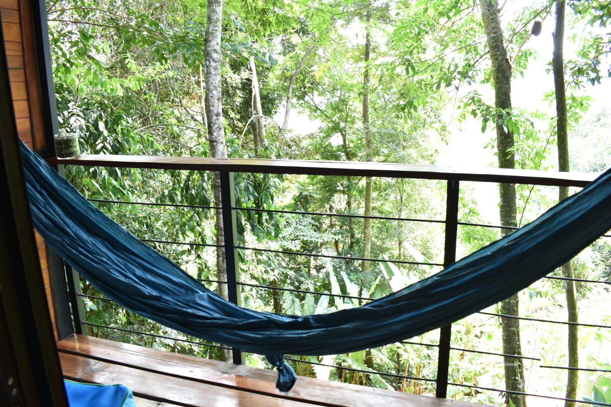 Selva Madre Eco-Sanctuary Aparthotel Cahuita Exterior photo