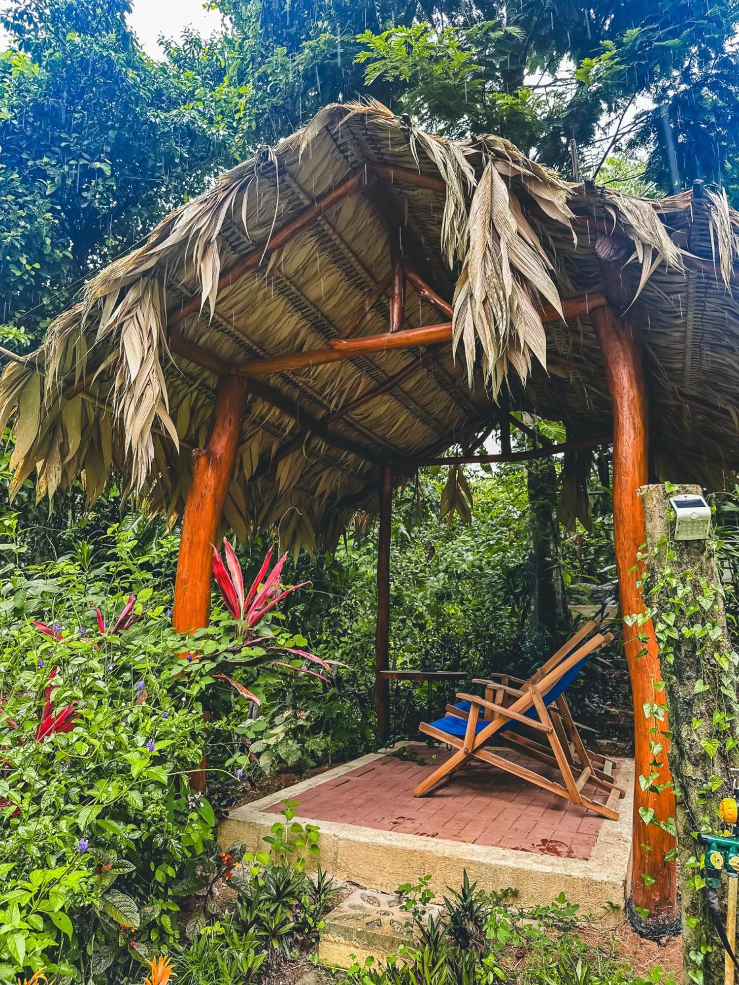 Selva Madre Eco-Sanctuary Aparthotel Cahuita Exterior photo
