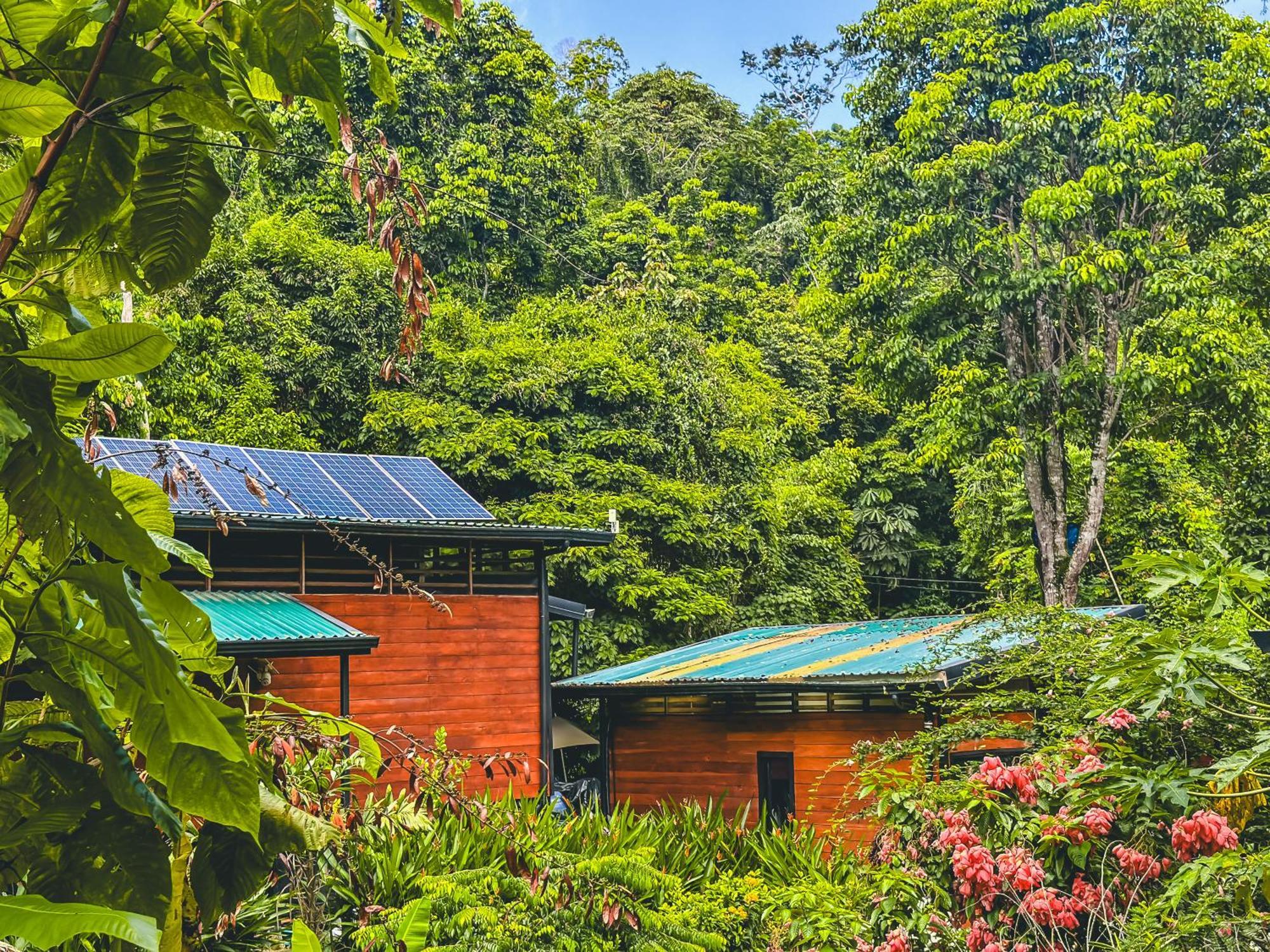 Selva Madre Eco-Sanctuary Aparthotel Cahuita Exterior photo