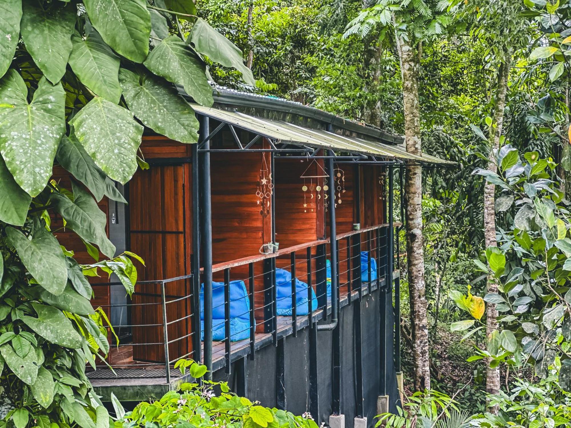 Selva Madre Eco-Sanctuary Aparthotel Cahuita Exterior photo
